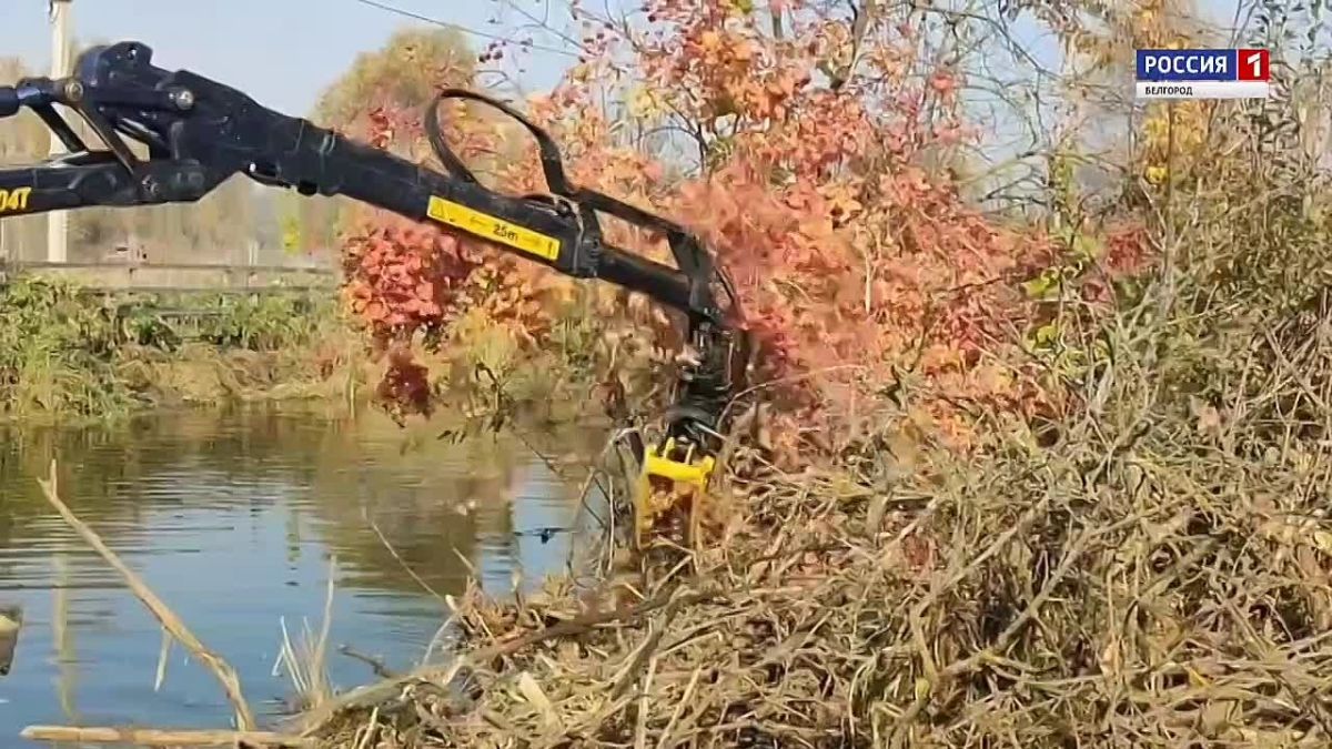 Тяжёлая техника и ручной труд: в Яковлевском округе продолжается очистка реки Липовый Донец