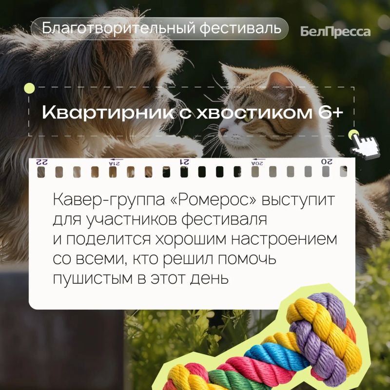 Афиша выходного дня от БелПрессы! Афиша выходного дня от БелПрессы!