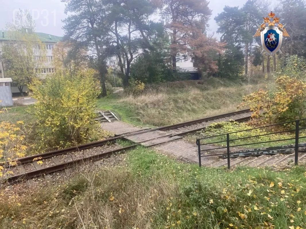 Уголовное дело о покушении на убийство девушки-подростка возбуждено в Шебекино