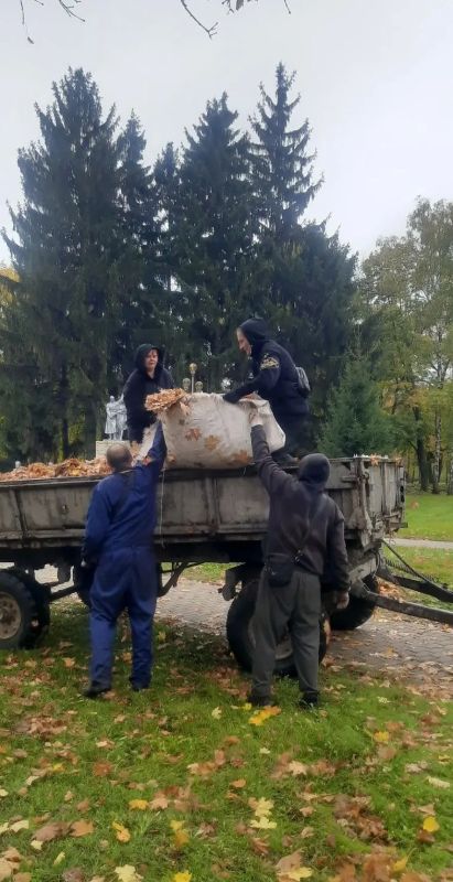 Чистота и уют — общее дело Чистота и уют — общее дело