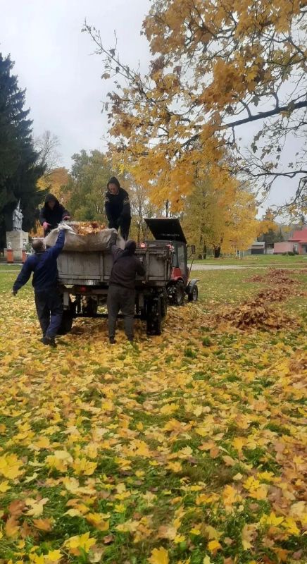 Чистота и уют — общее дело Чистота и уют — общее дело