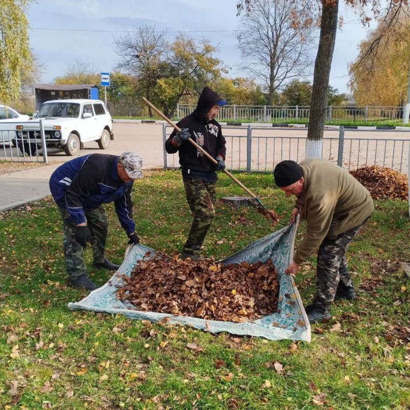 В Корочанском округе продолжается осенний этап месячника добровольного служения В Корочанском округе продолжается осенний этап месячника добровольного служения