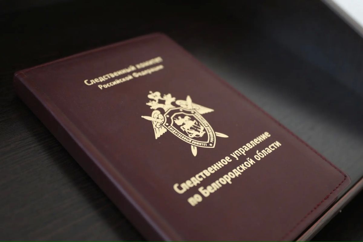 В Белгородской области бывшая заведующая детским садом признана виновной в совершении мошенничества с использованием служебного положения