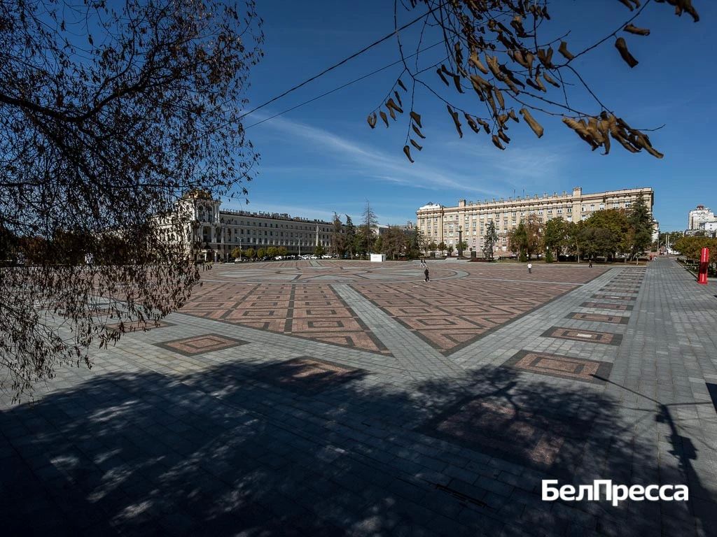 Новым депутатом Белгородской областной Думы стал Сергей Наумов
