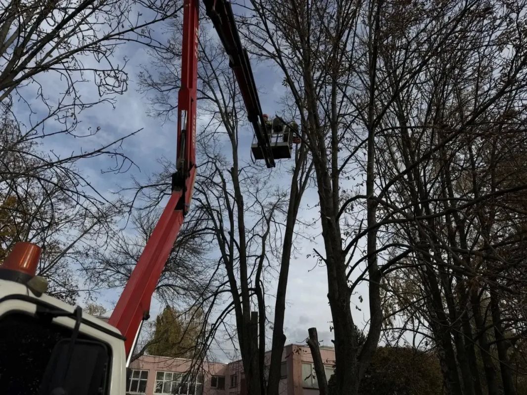В Белгороде оперативно убрали аварийное дерево с трещиной на стволе В Белгороде оперативно убрали аварийное дерево с трещиной на стволе