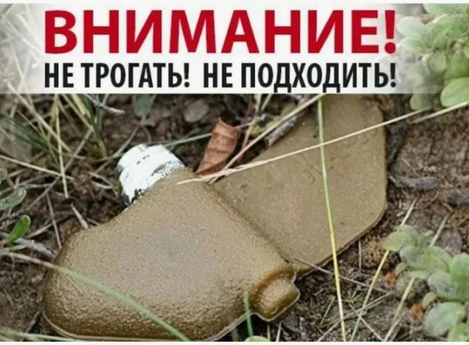 Минная опасность в лесу для жителей приграничных территорий