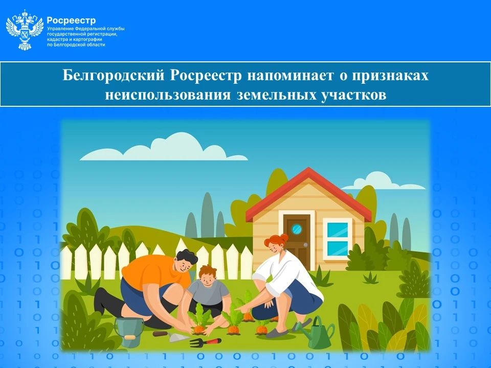 Росреестр напоминает о признаках неиспользования земельных участков