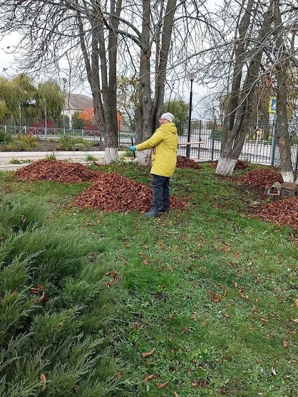В рамках месячника служения Белгородской области в Борисовском округе продолжаются работы по благоустройству В рамках месячника служения Белгородской области в Борисовском округе продолжаются работы по благоустройству