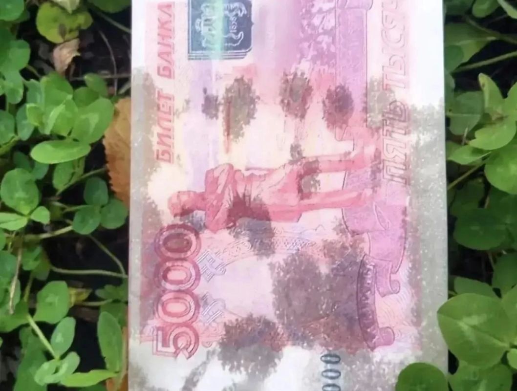 Листовки в виде купюр, пропитанные неизвестным веществом, нашли в Разумном