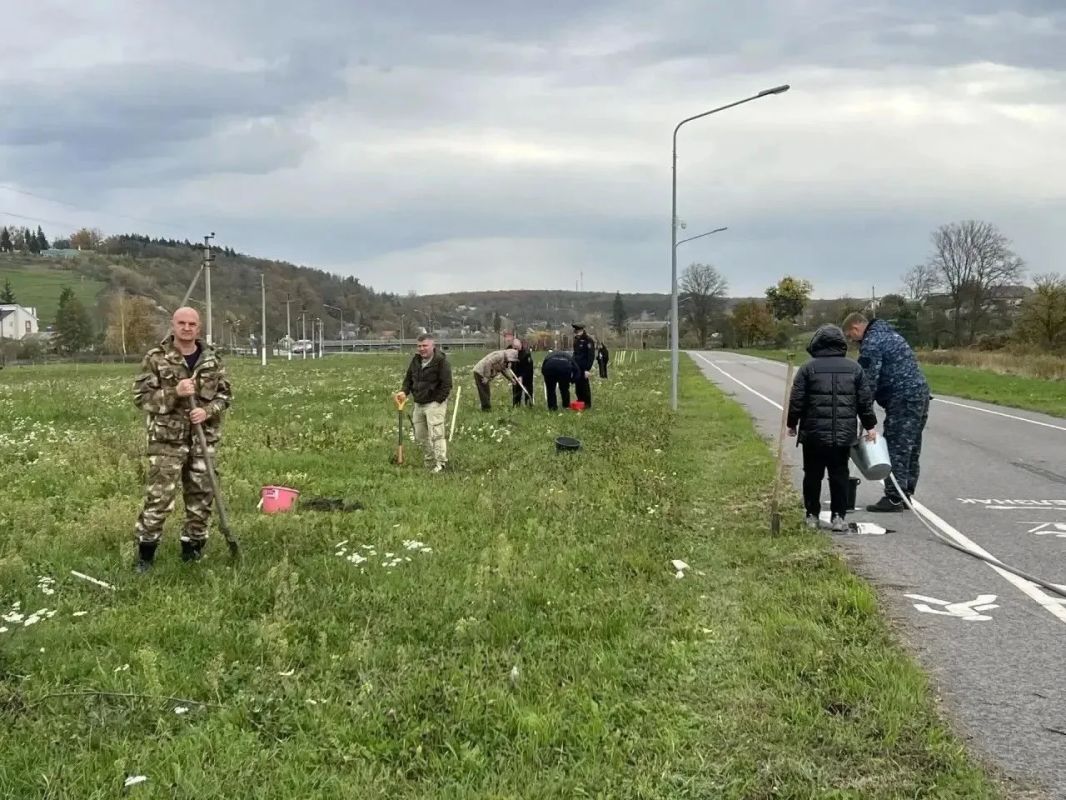 В рамках ежегодной Всероссийской акции «Сохраним лес» в Борисовском округе высадили саженцы деревьев В рамках ежегодной Всероссийской акции «Сохраним лес» в Борисовском округе высадили саженцы деревьев