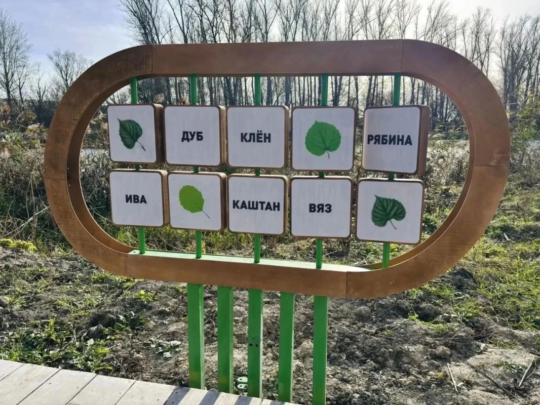 Набережная Тихой Сосны в Бирюче стала комфортнее для прогулок и отдыха Набережная Тихой Сосны в Бирюче стала комфортнее для прогулок и отдыха