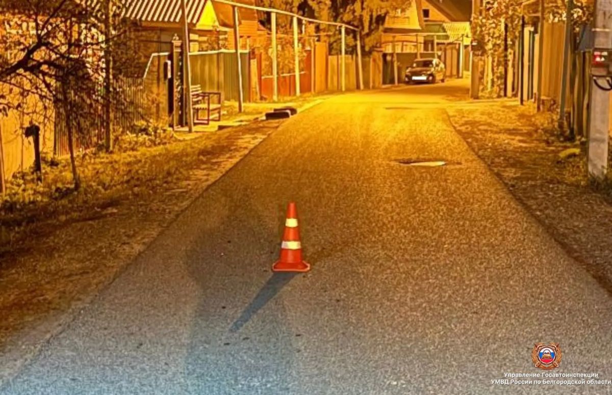 #СВОДКА_ДТП. По предварительным данным, вчера около 18 часов 00 минут в переулке Крупской п. Борисовка 71-летний водитель, управляя электровелосипедом «Aimiko М1», совершил наезд на животное