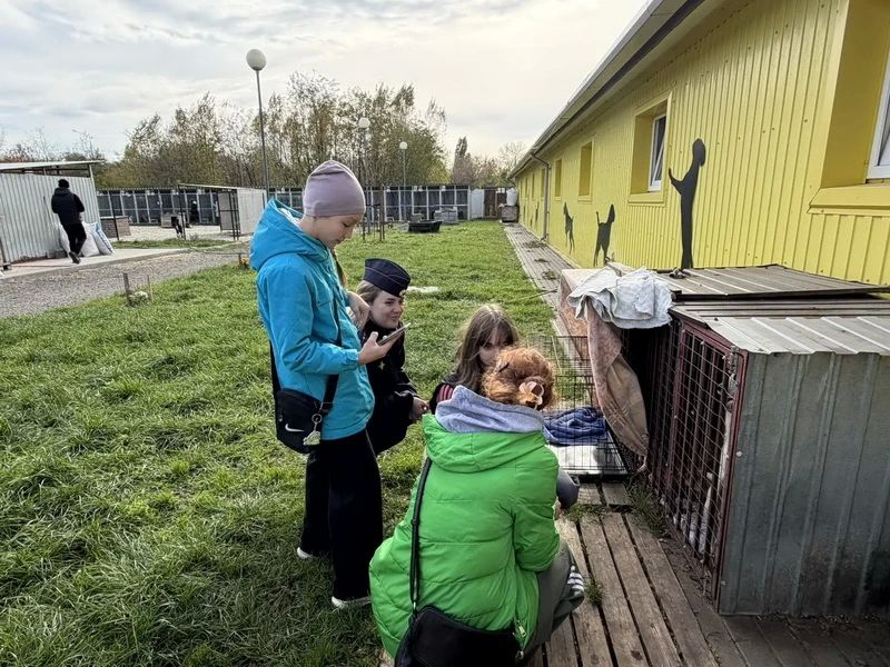 В Белгородском округе в рамках акции "Каникулы с Общественным советом" школьники навестили животных в приюте В Белгородском округе в рамках акции "Каникулы с Общественным советом" школьники навестили животных в приюте
