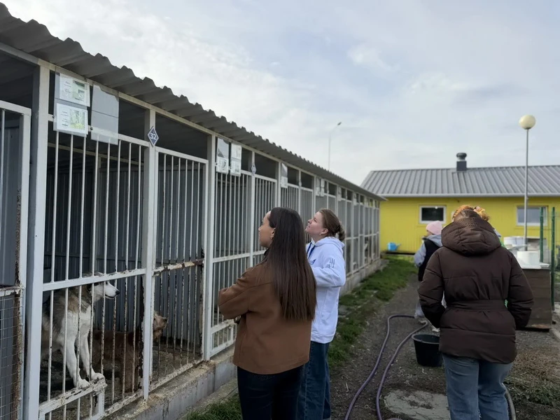 В Белгородском округе в рамках акции "Каникулы с Общественным советом" школьники навестили животных в приюте