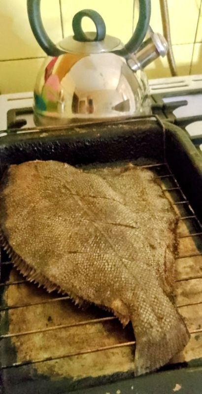 ������ ���� �� �����: ��� ����������� ������� �������������