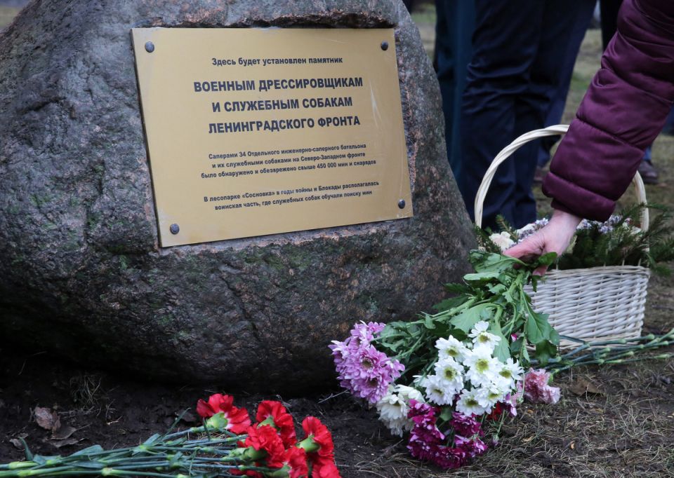 Новый закон в России: до пяти лет за неуважение к памяти героев