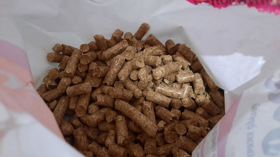 Необычные способы применения древесного наполнителя для кошачьего лотка в быту