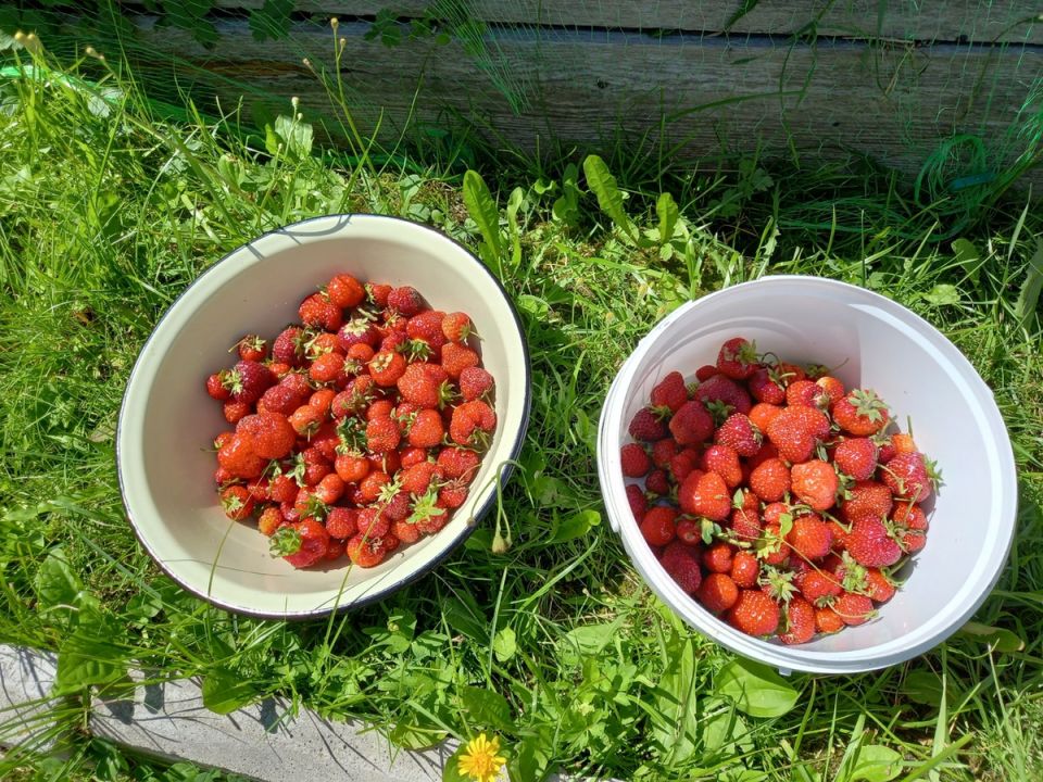 Как пенсионерка находит деньги на путешествия: секреты активной жизни на пенсии