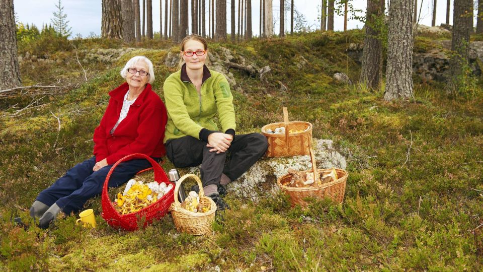 Легко отмоете пятна на руках после чистки грибов: копеечное средство вернет коже чистоту