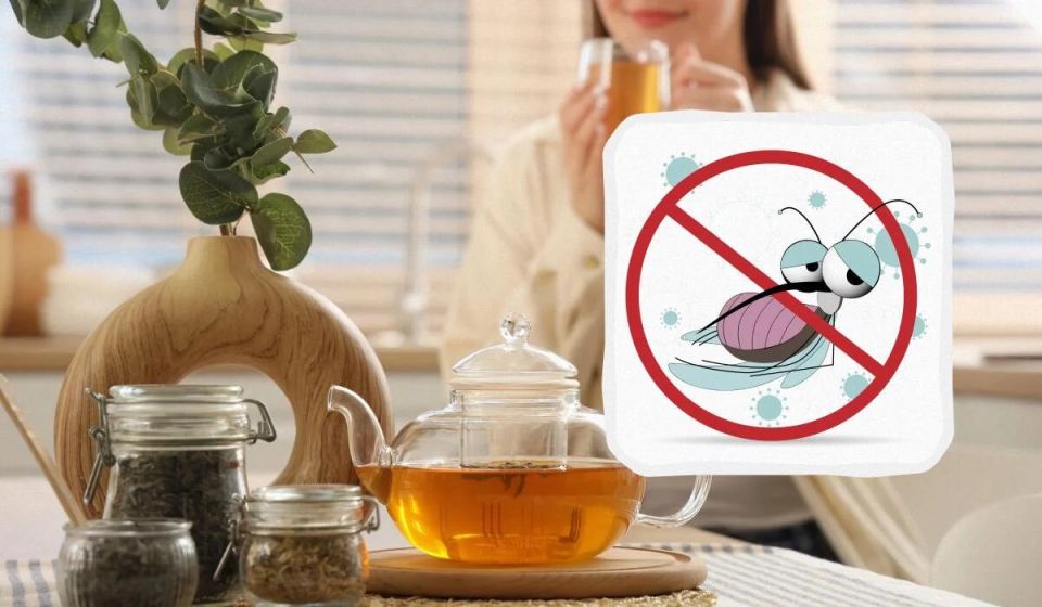 Как прогнать надоедливых насекомых из дома с помощью уникального аромата