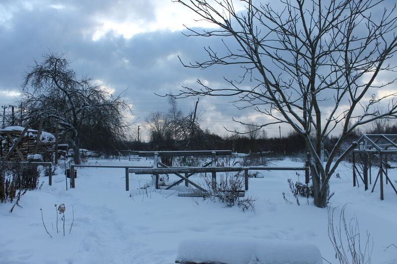 ������� � ����� �����: ��� ������� ��������� �������� ���������� ����