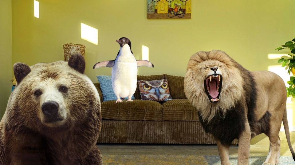 ��� ����� ����� � ���������� ����� �������� � ��������: ����� � ������������