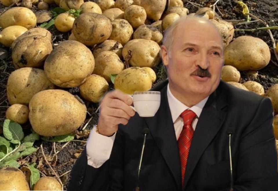 ��� ����� ��������� ���� ��������: � ��������� � �������� �� �����