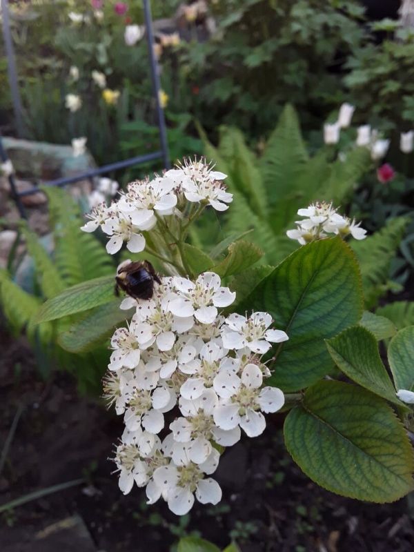 ����� ������������ ������: ��� ��������� ������, ����� ����� �������� �������������