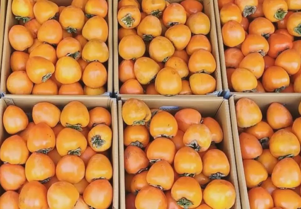 �����: ��������� �������� ��� ������� �����