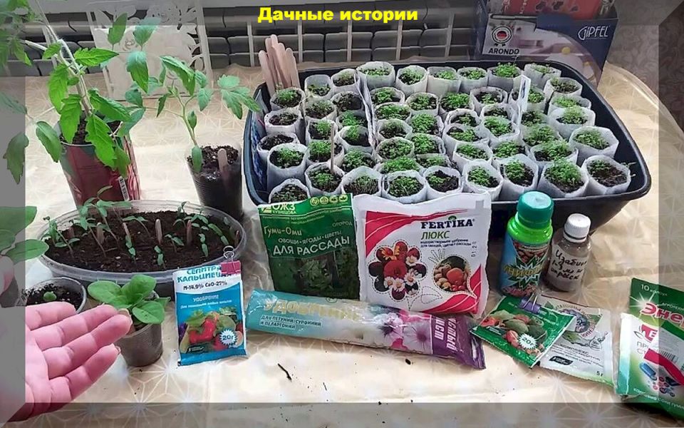 ������������ ���������: ��� ����� ����� � ��������� � �� ���������� � �����������