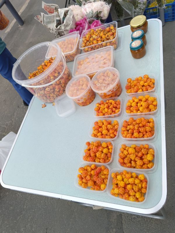 ������� �����: ������� ���������� ������ ��� � ��������� ���������