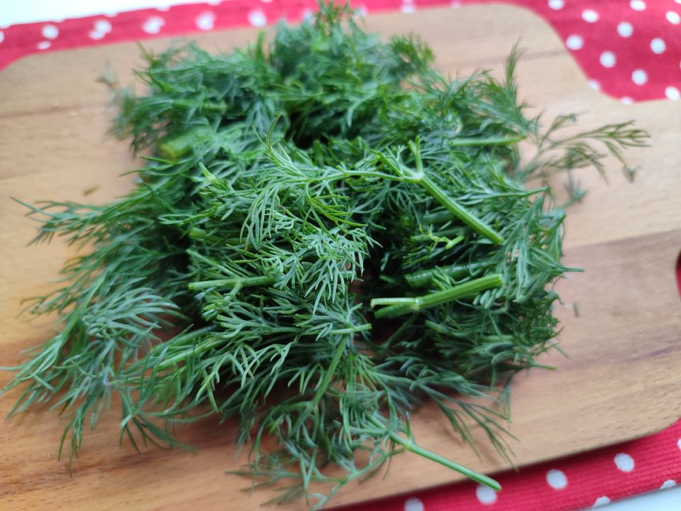 ��������� � ����: ������ �����, ������� ������� ���� �����