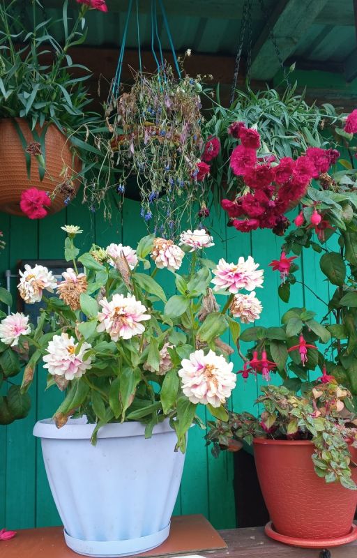 ��� ���������� ��������� � ��������� ���� ��� ����: ������ � ���������