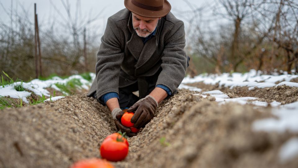 ���� ���������� ������ �������: ��� ���������� �� �������� ����� � ��������� ������� �������