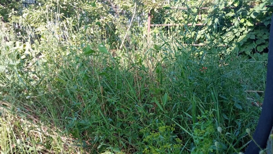 ��������� ���������: ��� ������� ���������� ���������� ������������� �� ����