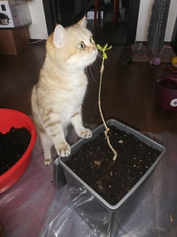 ��� ��������� �������� ������ �� ���� � �����: ��������� ����������