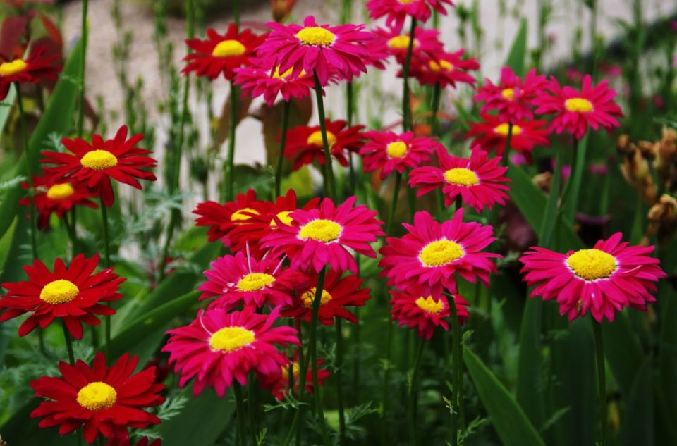 �����-���������: ��� ��������� ��������� ������� ��� ��� �� ����������