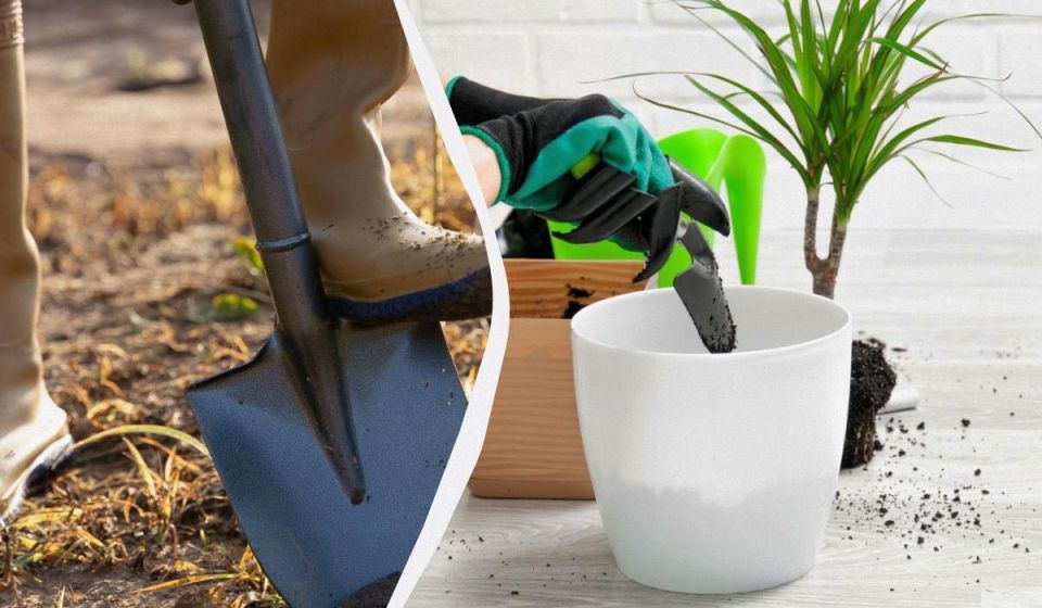 ���������� �������� ���������: ��� ������� �������� �������� � �������� ����� � ����