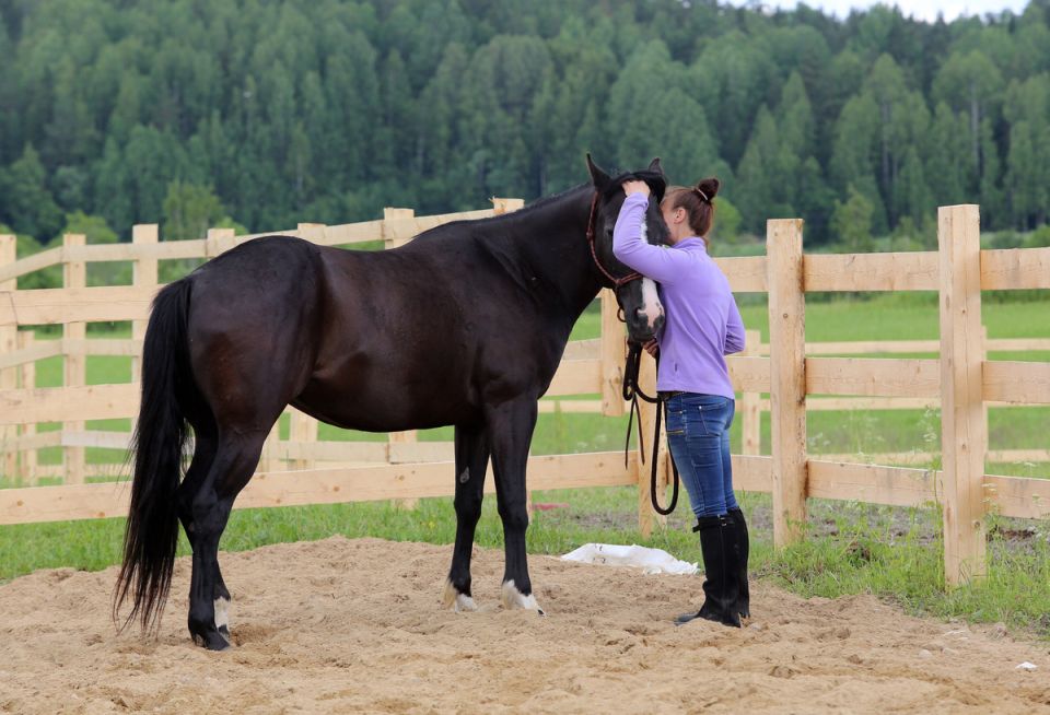 ������ ������ �� ������� � �����������: ������������ � ��������