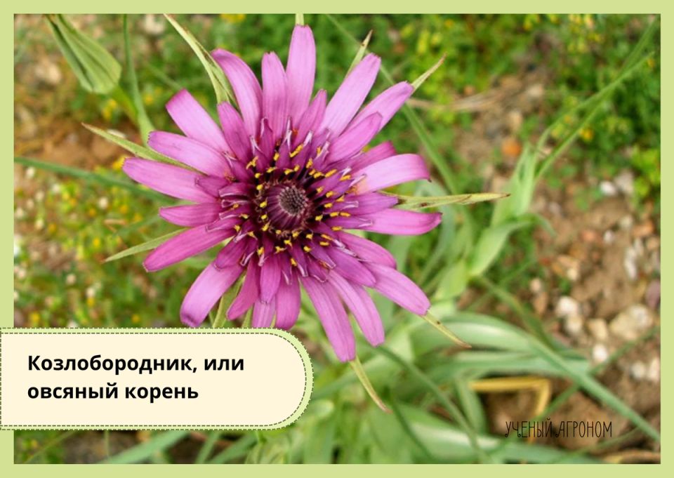 �������������: ������ ������� ��� ������ �������