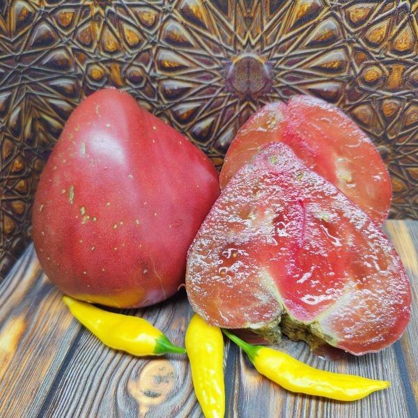 ����� ��������� ����� ������: ������� ������ � ������������ ���� ������� ������