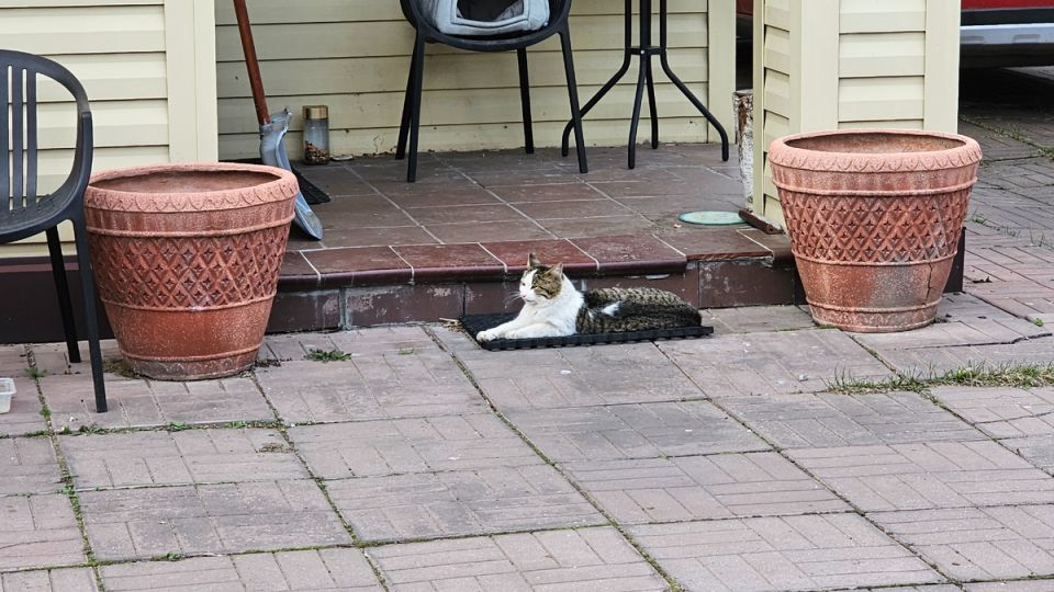 ��� ������ � ������: ����� ������� � ���������� ������� ������