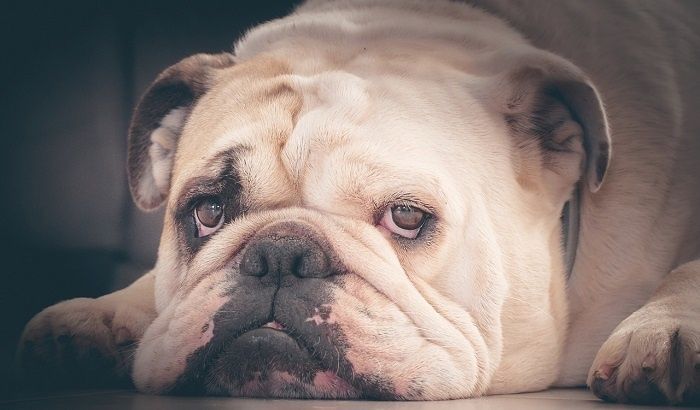 ������� ��������� ����� ���������� �� ������������ ���������� �������� ��������