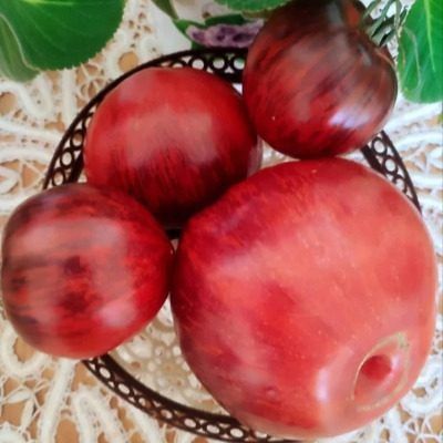 ����� ����� �����: ������� ����� ��� ������ ������� � ������ ������