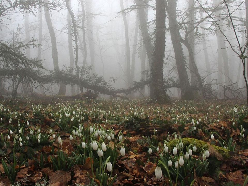 ������ ���������� ������ ���� � ������