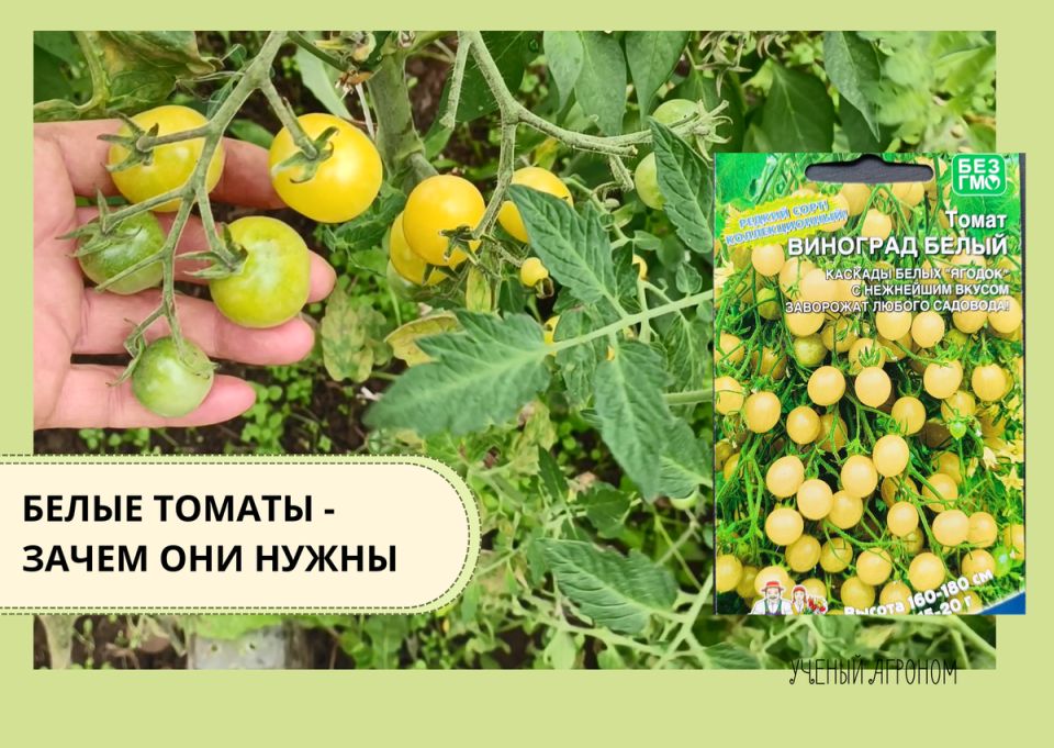 ����� ������: ������ � ������� ��� �����������