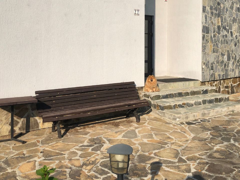 ��� ������� ��������� ���, ���������� ���� ������������