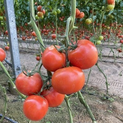 ����� �����: ��� ��������� ��������� ������ ��� ������ ������