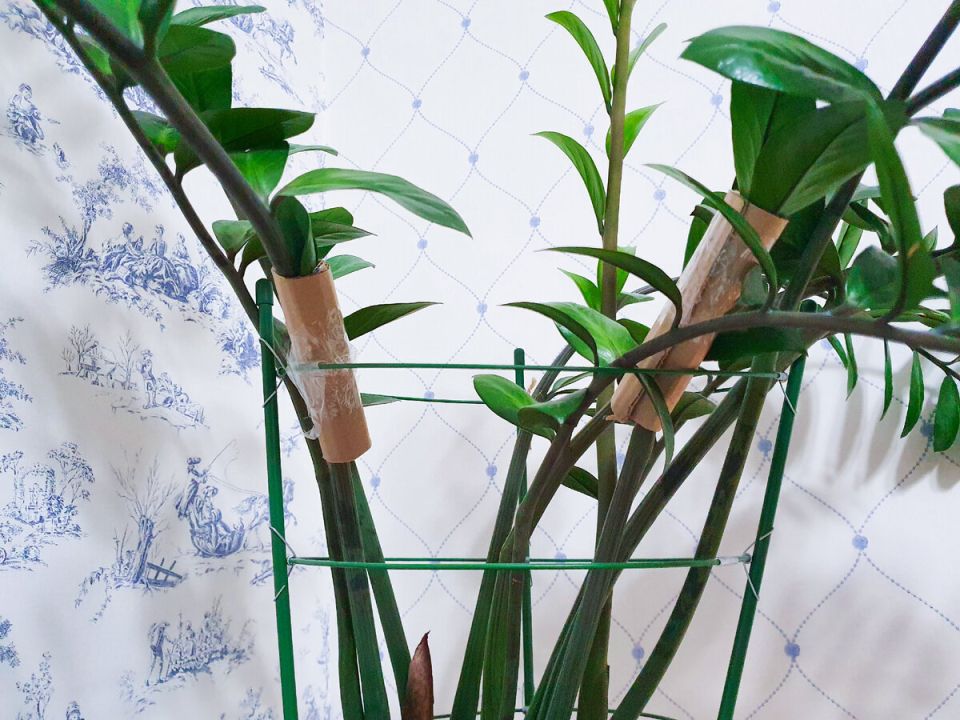 ��� ��������� ������������ � ��������� �����: ������� ��������� �����