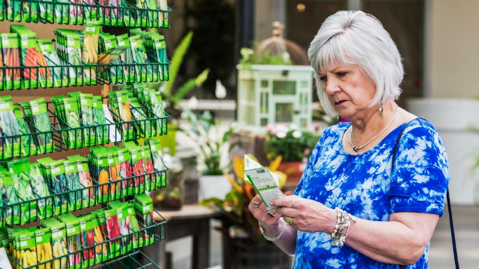 ������������ ������ �������� ������� ������ � ���� ������: ������� �� ���������